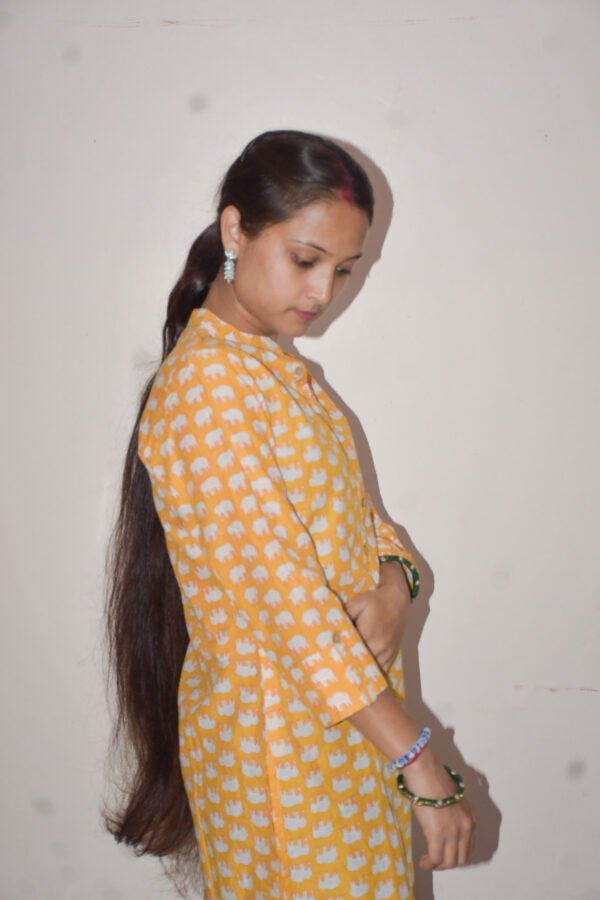 Rajasthani Noor Kurti - Image 4