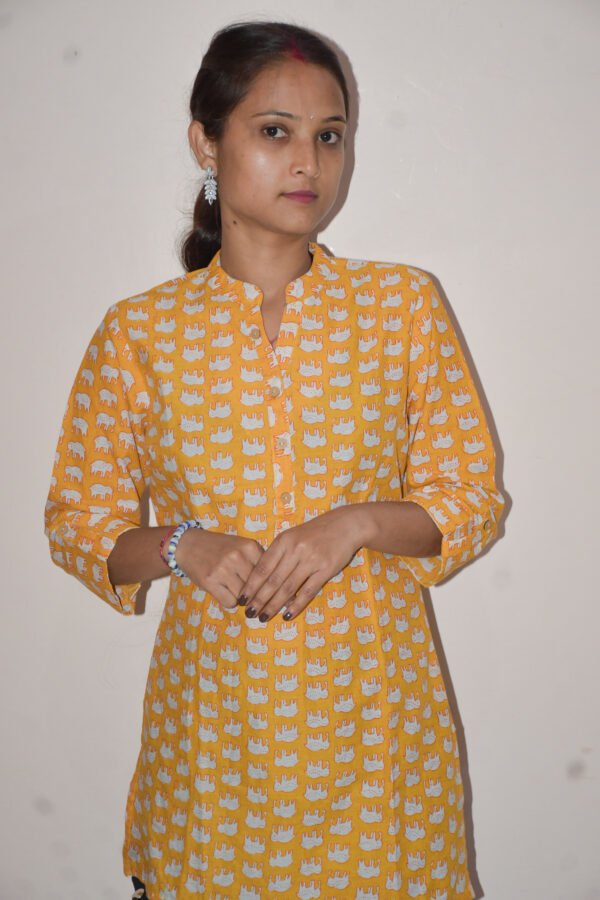 Rajasthani Noor Kurti